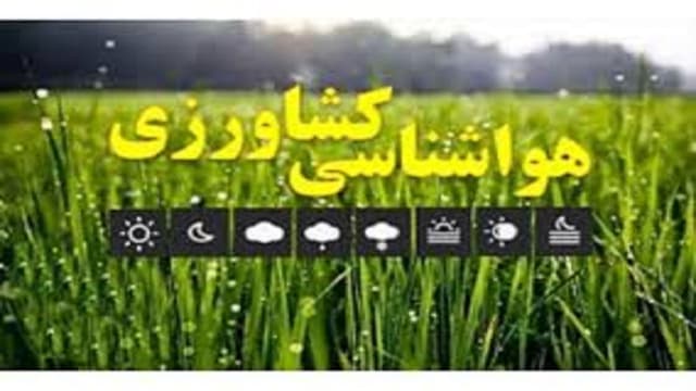 دامداران از رفتن به ارتفاعات اجتناب کنند