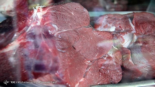 جمعیت دام سبک ۶۲ میلیون راس است